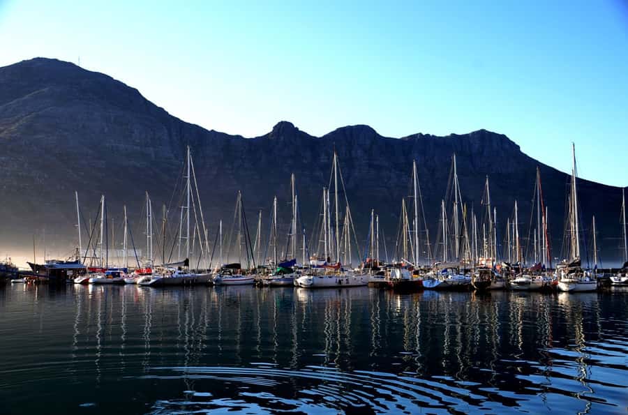 Cape Point Full-Day Tour From Cape Town - Muizenberg and Kirstenbosch close the circuit