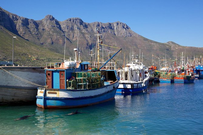 Cape Point Sightseeing Tour including Cape of Good Hope full day from Cape Town - Starting in Cape Town and heading toward the coast
