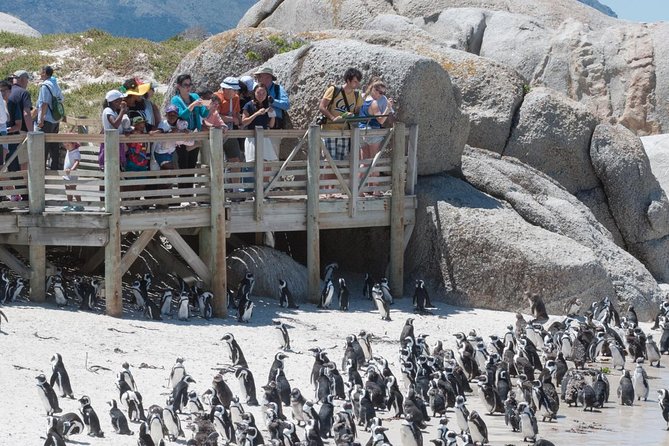 Cape Point Sightseeing Tour including Cape of Good Hope full day from Cape Town - Chapman’s Peak Drive and the first big views
