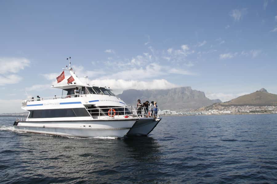 Cape Town: 1-Hour Pre-Sunset Champagne Cruise - What the one-hour route actually feels like