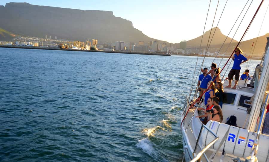 Cape Town: 1-Hour Pre-Sunset Champagne Cruise - Marine life can add a surprise
