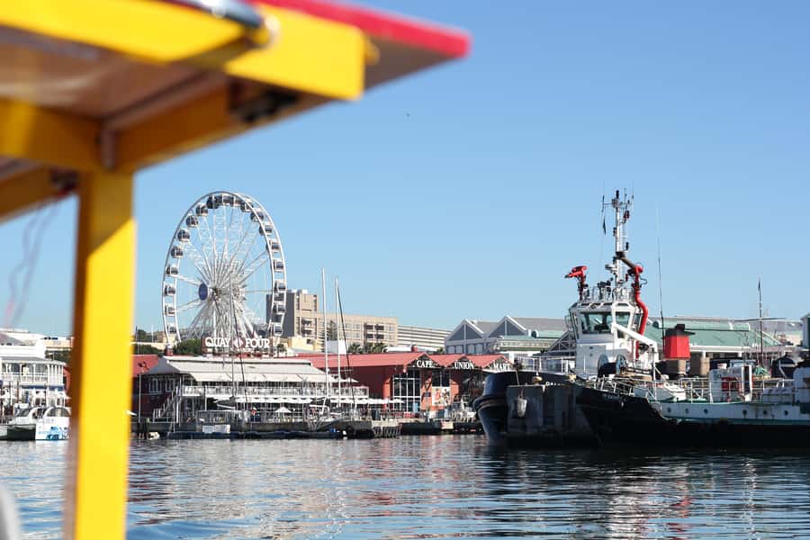 Cape Town: 30 Minute Seal-Watching Harbour Cruise - Table Mountain, Signal Hill, and the city skyline