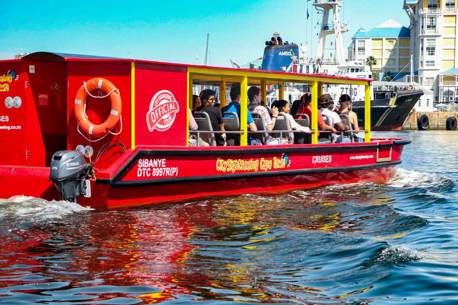 Cape Town: 30 Minute Seal-Watching Harbour Cruise - How to make the most of 30 minutes