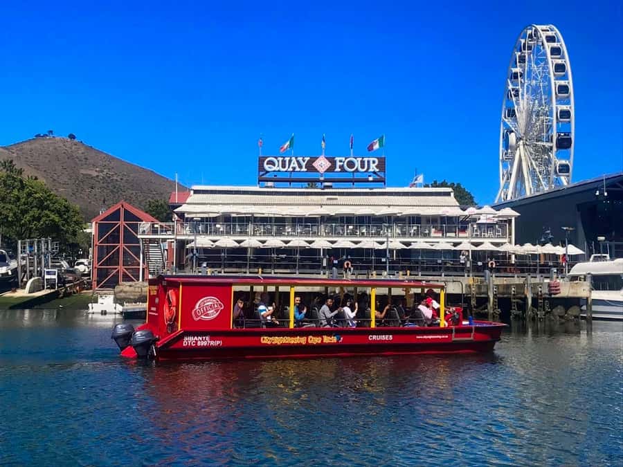 Cape Town: 30 Minute Seal-Watching Harbour Cruise - A short route through Cape Town’s working harbor