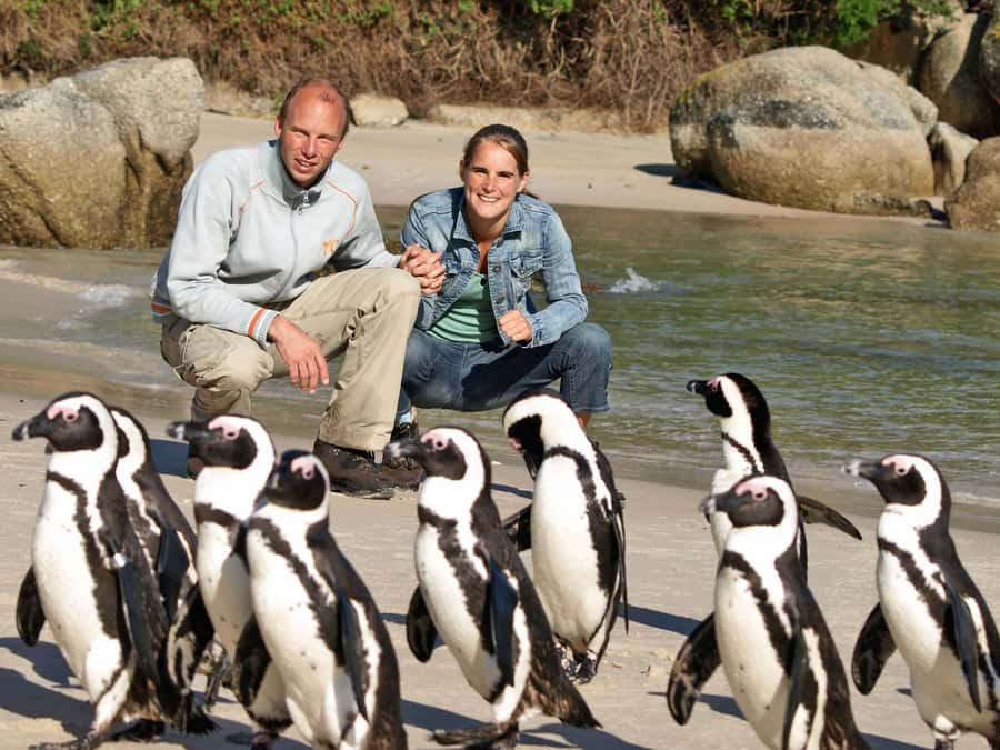Cape Town: Cape of Good Hope & Penguins Day Tour with Pickup - Why this Cape Peninsula day trip works