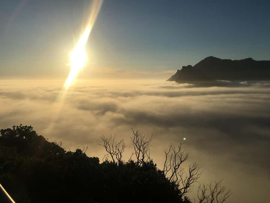 Cape Town: Cape of Good Hope & Penguins Full-Day Guided Tour - Muizenberg adds color before the city return