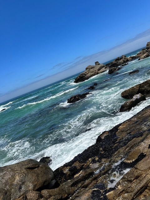 Cape Town: Cape of Good Hope & Penguins Full-Day Guided Tour - Chapman’s Peak Drive is a highlight in its own right