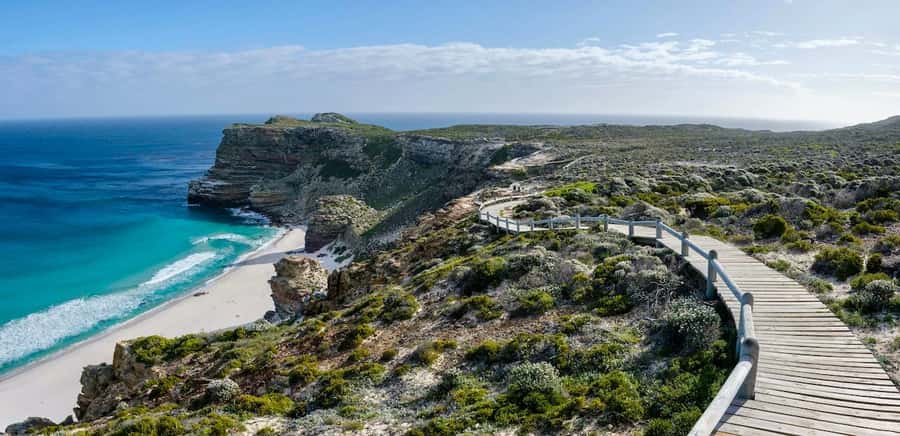 Cape Town: Cape Point and Penguin Colony Full Day Tour - One day around the entire Cape Peninsula