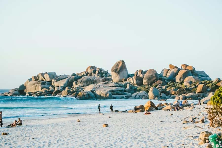 Cape Town: Cape Point and Penguin Colony Full Day Tour - Simon’s Town and the Boulders penguins