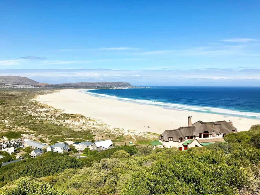 Cape Town: Cape Point and Penguin Colony Full Day Tour - Guides, vehicles, and the value of the day