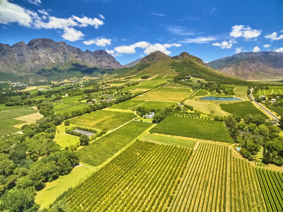 Cape Town: Full-Day Wine Tasting Tour with Wine Tram - The Nelson Mandela stop on the ride home