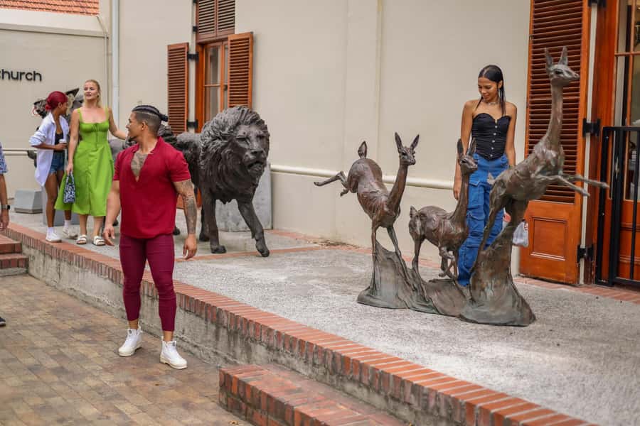 Cape Town: Full-Day Wine Tasting Tour with Wine Tram - What $80 buys you