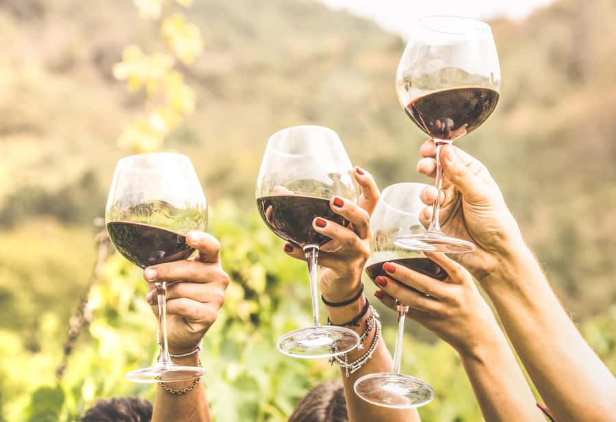 Cape Town: Full-Day Wine Tasting Tour with Wine Tram - Who will enjoy this tour most