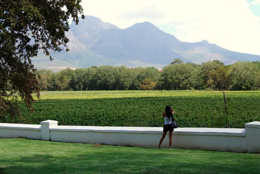 Cape Town: Full-Day Winelands Tour with Wine Tastings & Food - Paarl begins with cheese, views, and a gentle introduction