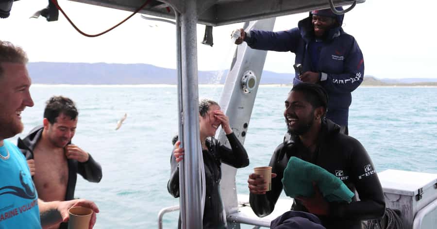 Cape Town: Gansbaai Eco-Friendly Shark Cage Diving Cruise - Food, warm-up time, and the trip back