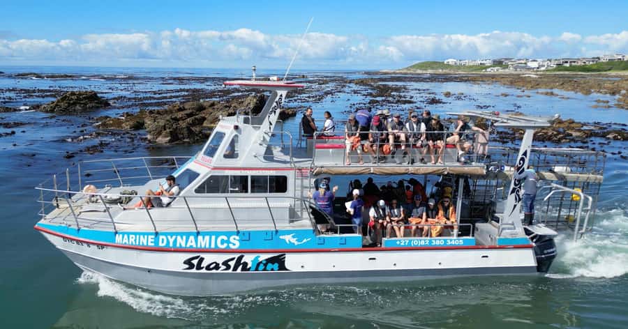 Cape Town: Gansbaai Eco-Friendly Shark Cage Diving Cruise - Breakfast, briefing, and the Great White House