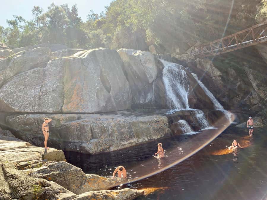 Cape Town: Garden Route and Addo Elephant Park 6-Day Safari - Who should book this Garden Route trip