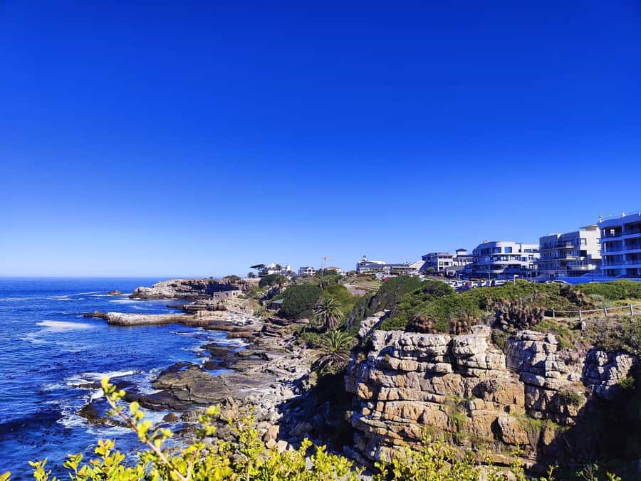 Cape Town: Garden Route and Addo Elephant Park 6-Day Safari - Day five, the Addo Elephant Park payoff
