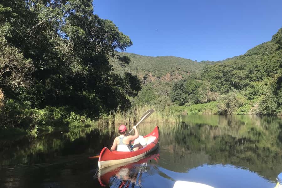 Cape Town: Garden Route and Addo Elephant Park 6-Day Safari - Day one, penguins, whales, and Africa’s southern tip