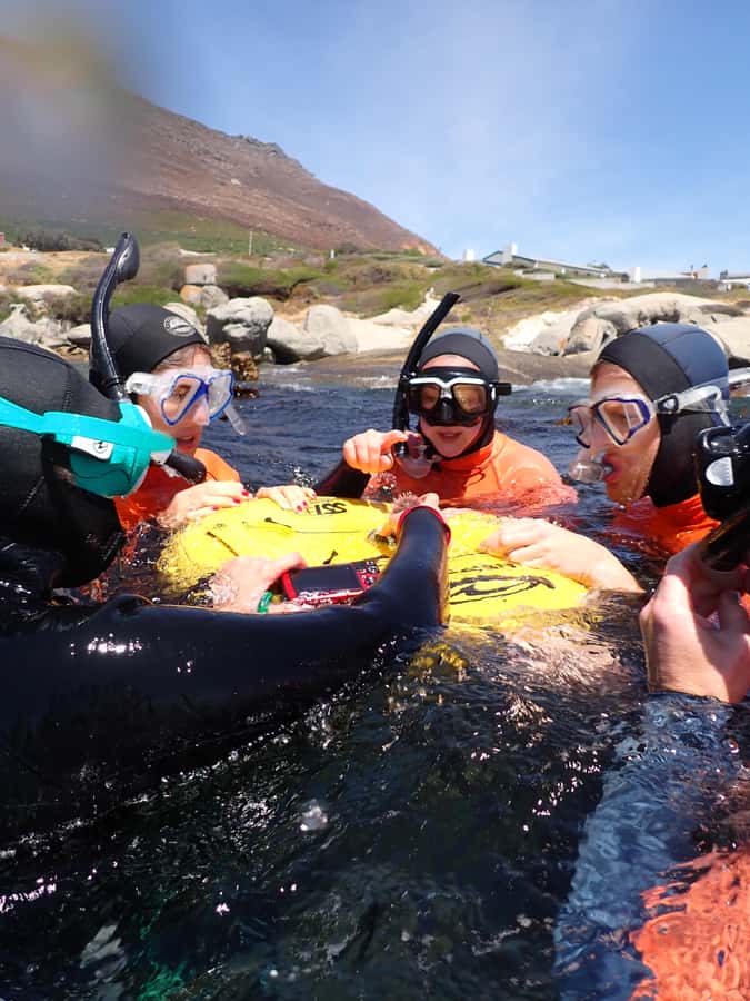 Cape Town: Great African Sea Forest Guided Snorkel - What snorkeling here feels like