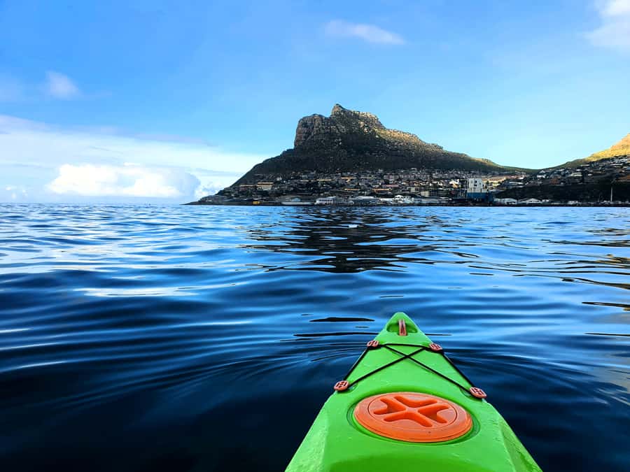 Cape Town: Guided Kayaking in Hout Bay - Paddling out from Hout Bay Harbour