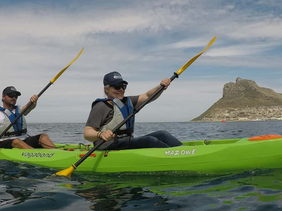 Cape Town: Guided Kayaking in Hout Bay - Cape fur seals are the most reliable wildlife