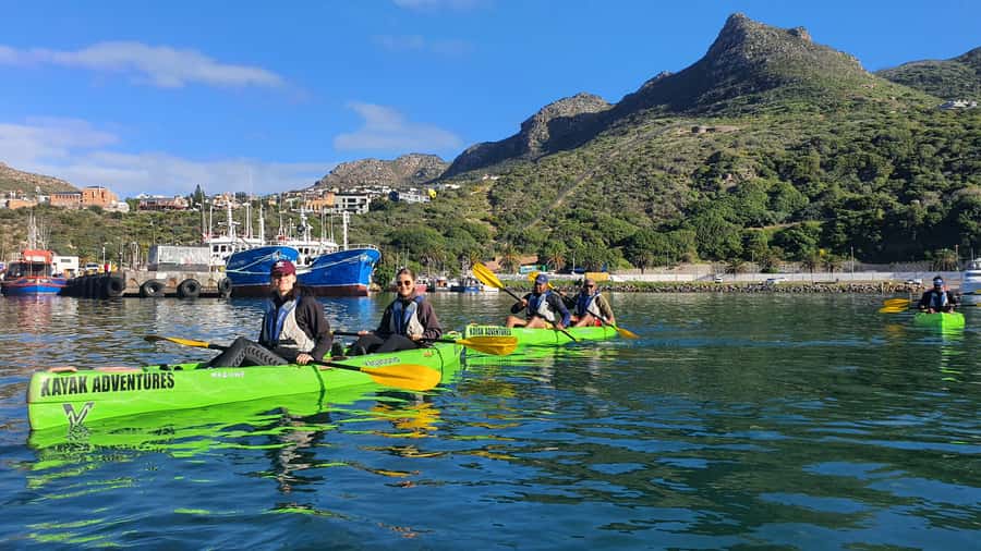 Cape Town: Guided Kayaking in Hout Bay - Wind is the main factor to take seriously