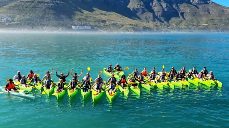 Cape Town: Guided Kayaking in Hout Bay - How much value you get for $37