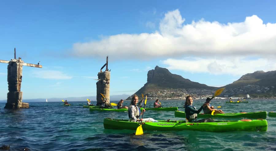Cape Town: Guided Kayaking in Hout Bay - Who will enjoy this most