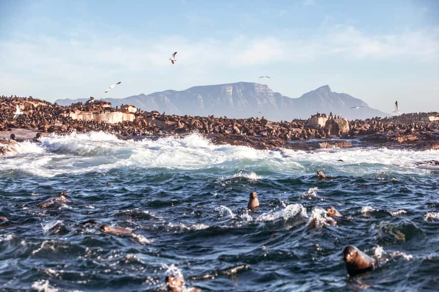 Cape Town: Guided Township Tour with Hotel Pickup - District Six: where removal began to feel real