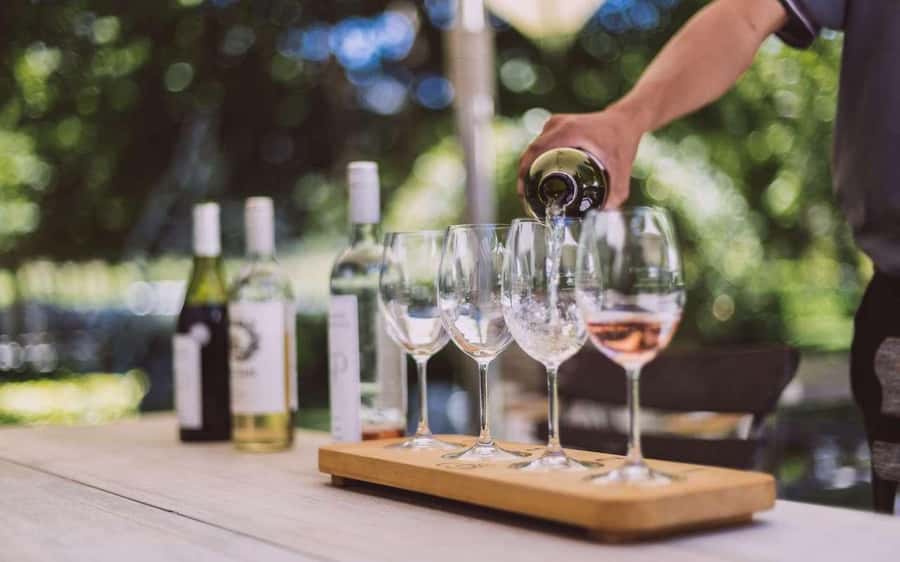 Cape Town: Guided Winelands Tour & Tasting in Stellenbosch - Why this short Stellenbosch tour works
