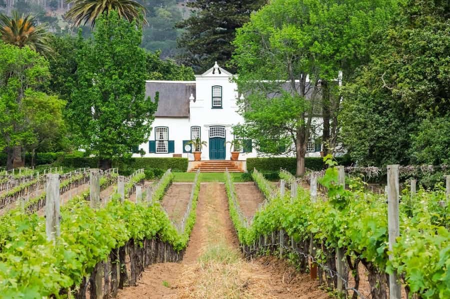 Cape Town: Guided Winelands Tour & Tasting in Stellenbosch - Zevenwacht: barrels, tanks, cheese, and four wines