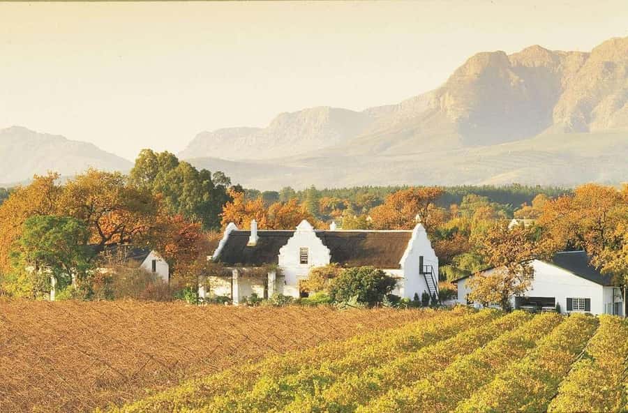 Cape Town: Guided Winelands Tour & Tasting in Stellenbosch - Stellenbosch, the town between the tastings