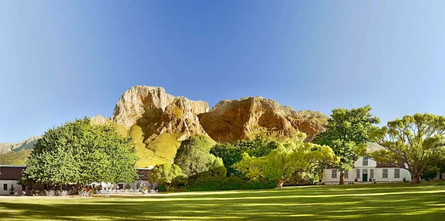 Cape Town: Guided Winelands Tour & Tasting in Stellenbosch - Pickup, timing, and the shape of the day