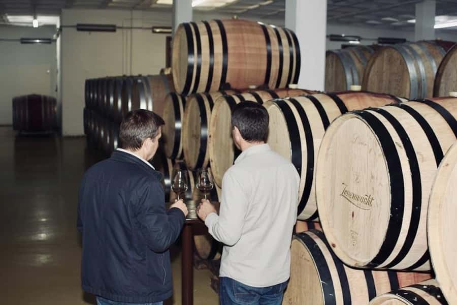 Cape Town: Guided Winelands Tour & Tasting in Stellenbosch - Should you book it?