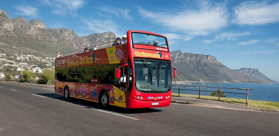 Cape Town: Hop-On Hop-Off Bus Tour with Optional Cruise - What the audio guide and staff add