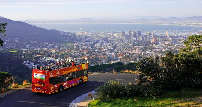 Cape Town Hop-On Hop-Off City Tour with Optional Cruise - Why this bus works well in Cape Town