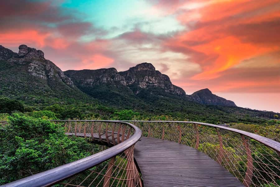 Cape Town: Kirstenbosch Botanical Garden Entry Ticket - Quiet paths, water features, and time to slow down