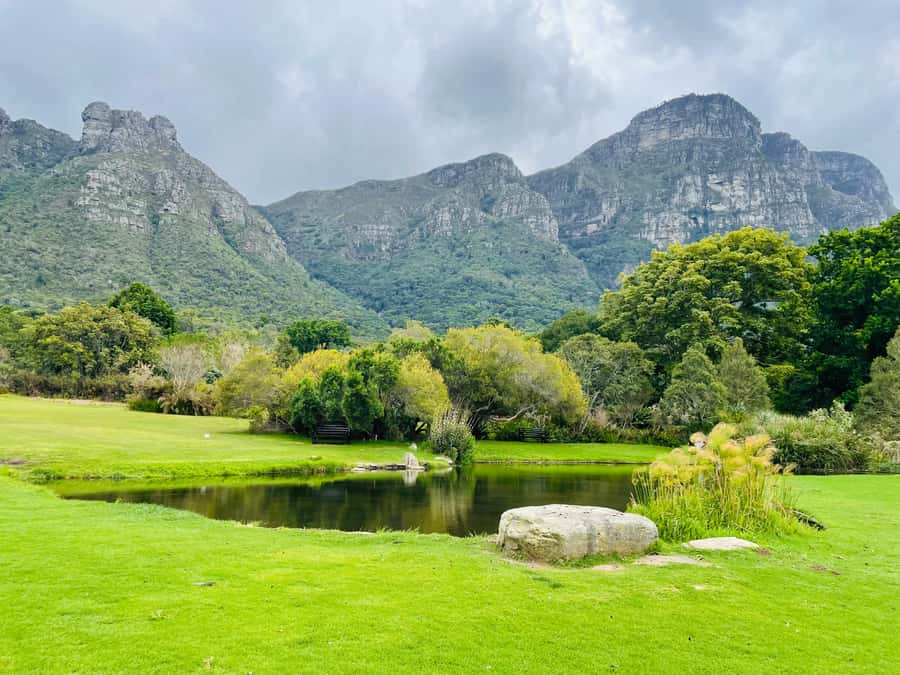 Cape Town: Kirstenbosch Botanical Garden Entry Ticket - Should you book Kirstenbosch?