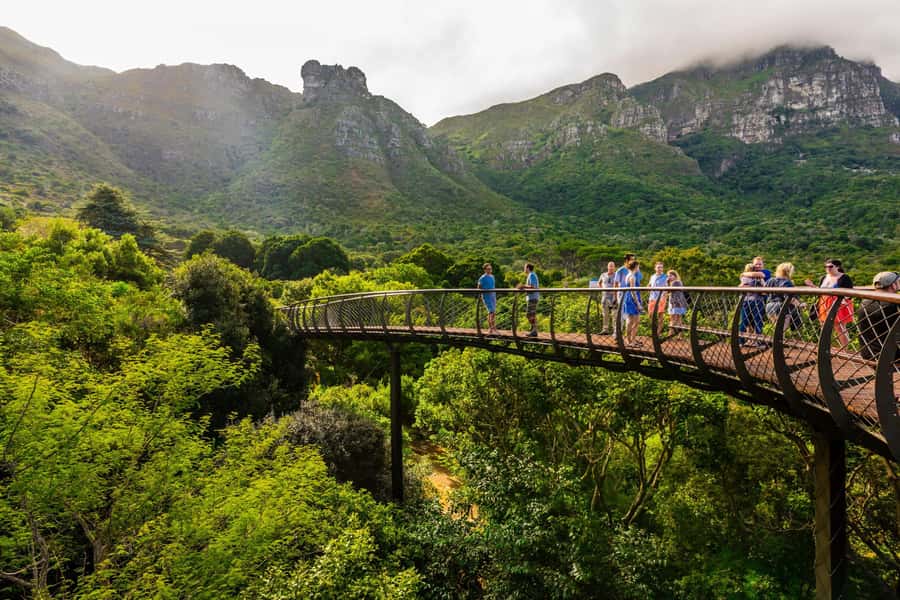 Cape Town: Kirstenbosch Botanical Garden Entry Ticket - Walking the Boomslang Tree Canopy Walkway