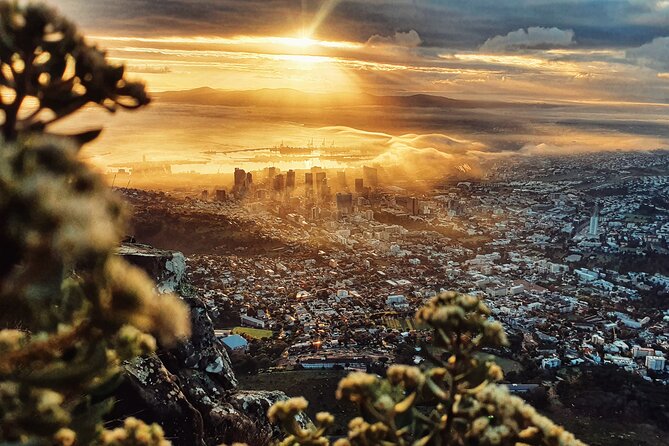 Cape Town: Lion's Head Sunrise/Sunset Hike - Local stories make the climb feel connected to Cape Town