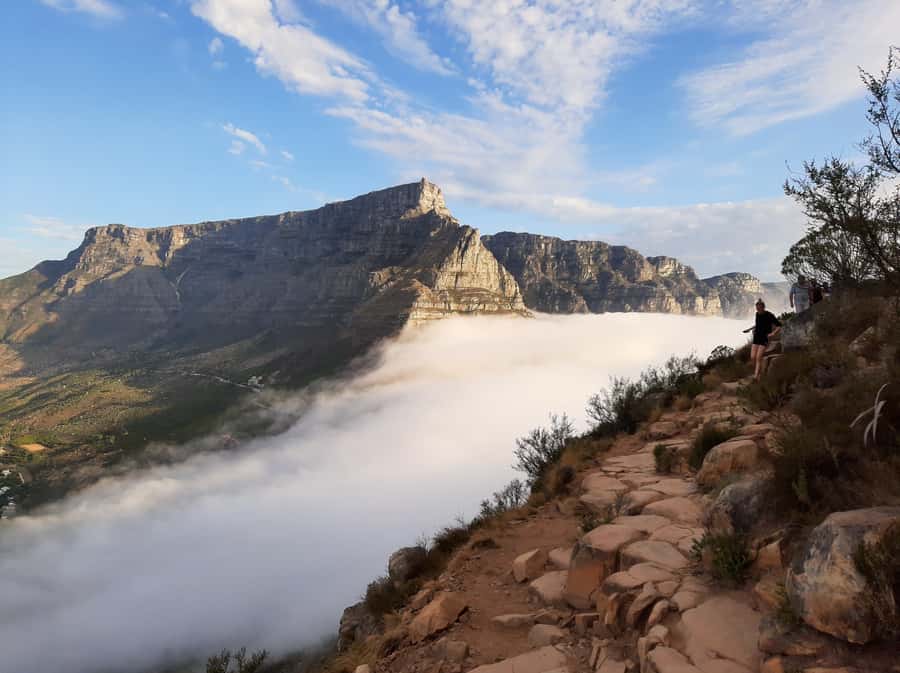 Cape Town: Lion's Head Sunrise with coffee or Sunset Hike - What the $49 price buys you