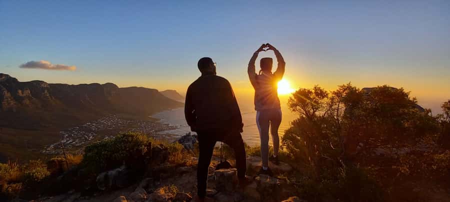 Cape Town: Lion's Head Sunrise with coffee or Sunset Hike - The silver leaf groves and first views