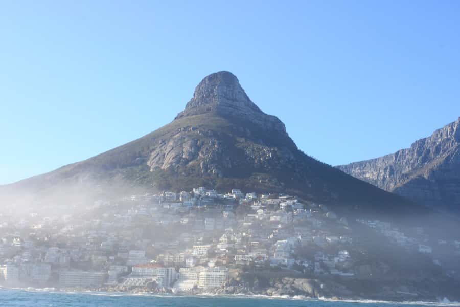 Cape Town: Marine Big 5 Ocean Safari from V&A Waterfront - Searching for dolphins, seals, penguins, and sunfish