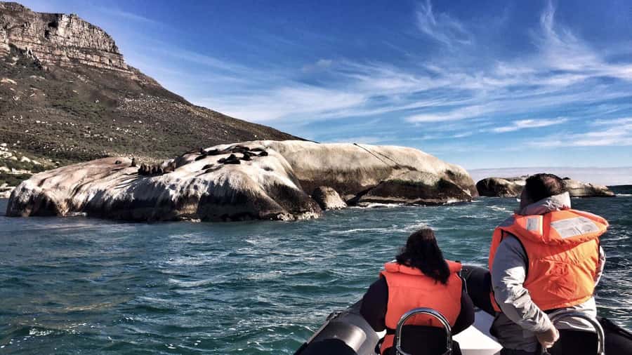 Cape Town: Marine Big 5 Ocean Safari from V&A Waterfront - Comfort, safety, and the feel onboard