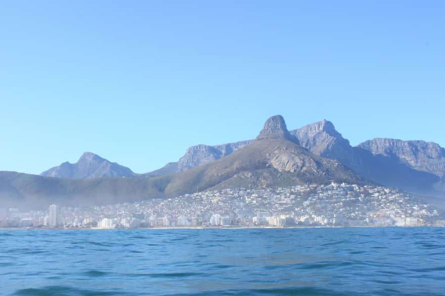 Cape Town: Marine Big 5 Ocean Safari from V&A Waterfront - Is $68 a fair price?