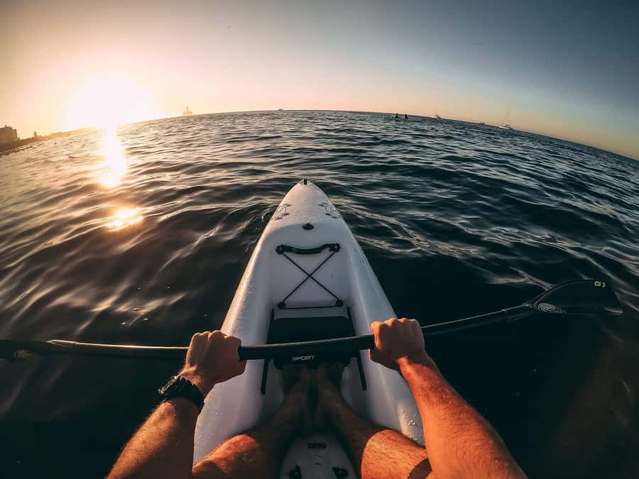 Cape Town: Marine Life Kayak Tour From the V&A Waterfront - The mountain views and the local shipwreck
