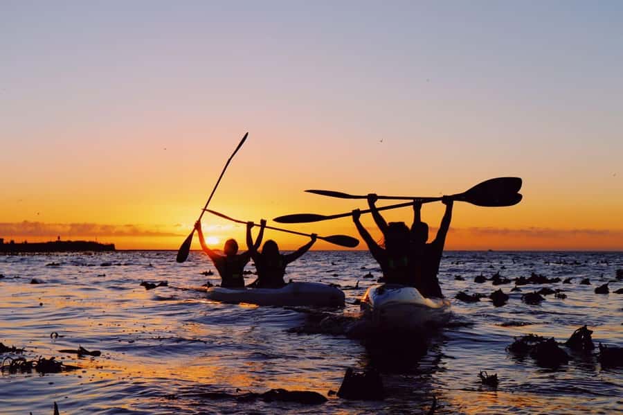 Cape Town: Marine Life Kayak Tour From the V&A Waterfront - How the two-hour schedule really feels