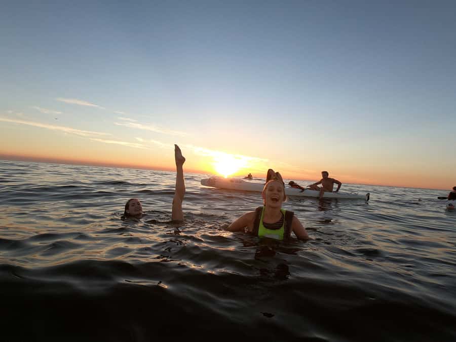 Cape Town: Marine Life Kayak Tour From the V&A Waterfront - Price, group size, and who gets the best value