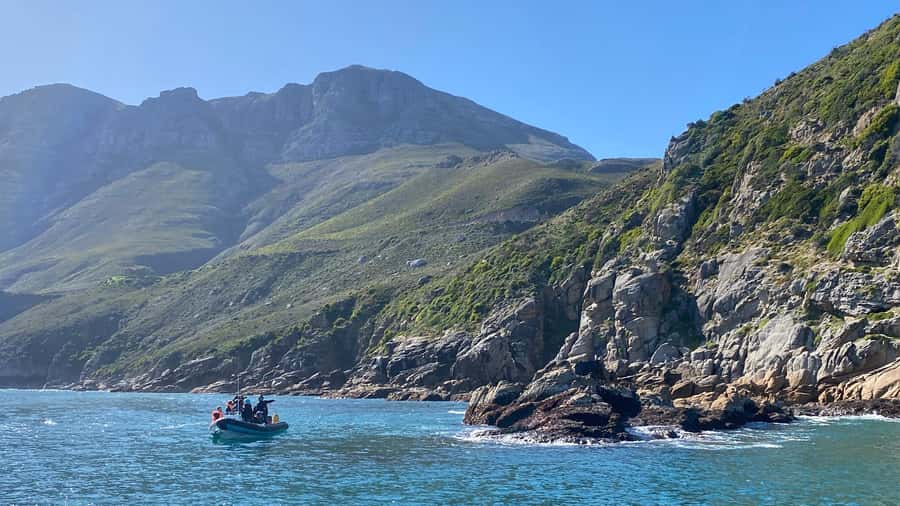 Cape Town: Ocean Safari in Hout Bay - A well-paced four-hour half day